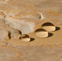 sealer pic